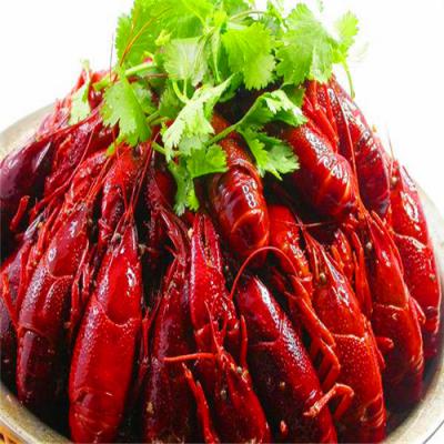 四川麻辣小龍蝦技術香蕉视频下载污哪裏好？底料熬製方法