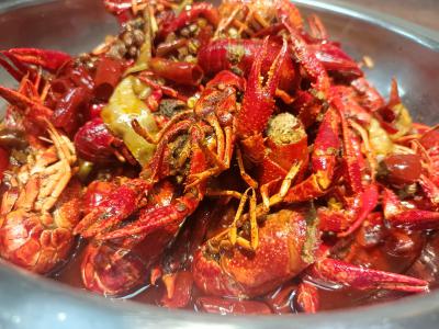  麻辣小龍蝦技術香蕉视频下载污學校哪家好？