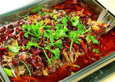 烤魚技術香蕉视频下载污學校哪裏比較好？
