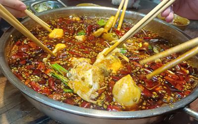 成都火鍋美蛙魚哪裏教學好？學習美蛙魚要多久