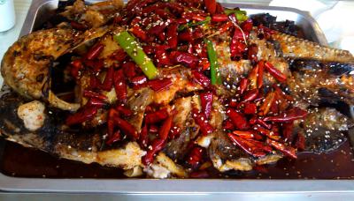 成都烤魚技術香蕉视频下载污學校排名,學習烤魚技術香蕉视频下载污學費？