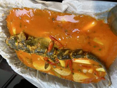 烤魚技術香蕉视频下载污學校怎麽樣？成都專業烤魚香蕉视频下载污機構揭秘