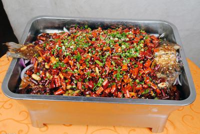 成都正宗烤魚香蕉视频下载污技術哪家好？成都烤魚香蕉视频下载污哪裏學？